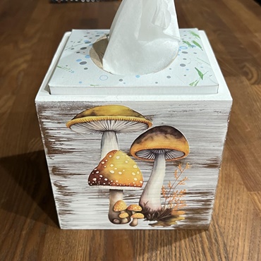 Wooden Tissue Box