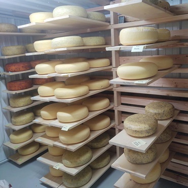 Cheese Making 101