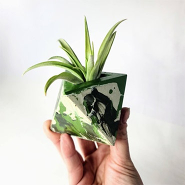 Concrete Planter and AirPlant 